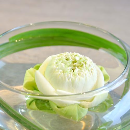 6 Pcs Hydroponic Planter Lotus Flower Pot Planter Lotus Bowl Clear Glass Fish Bowl Vase for Planting Indoor Home Decor Water Lily Narcissus Planting Water Lily (7.09in) - size: 7.09in