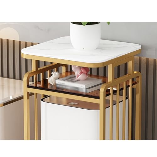 Living Room Living Room Sweeper Robot Shelf Organizer Drinking Fountain Fish Tank Cabinet Coffee Table Multifunctional(Black,60x40x85cm)
