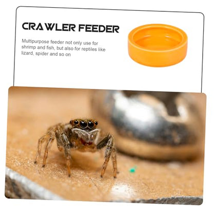 GALPADA Crawler Crawling Pet Feeding Bowl Escape Dish for Shrimp Fish and Reptiles Medium Orange for Aquariums and Decor