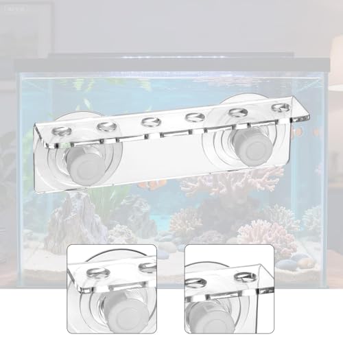 Versatile Acrylic Stand, Ideal for Corals, 6 Holes