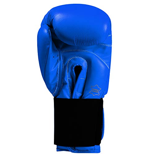 Title Classic Leather Elastic Training Gloves 2.0 - color: Blue, size: 14 oz