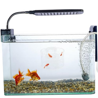 POPETPOP Fish Breeding Box for Aquarium Lightweight Separator for Fish Tank for Shrimp Survival Rate Easy to Carry and Store