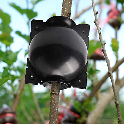 12 PCS Plant Root Growing Box, Reusable Air Layering Propagation Kit Rooting Ball Grafting Tools for Plant Propagation - size: Large