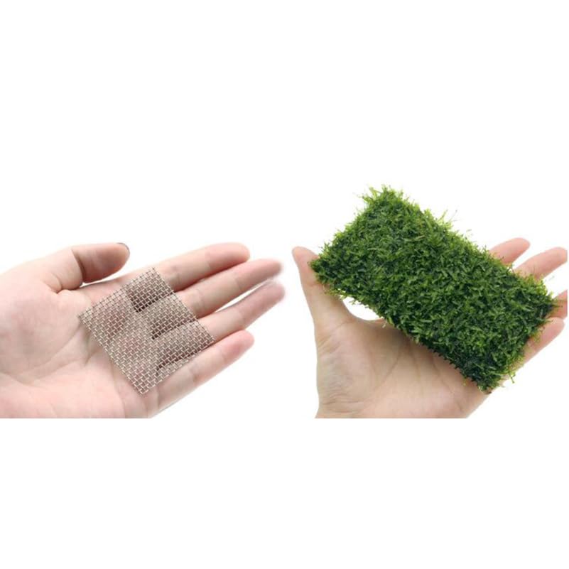 ULTECHNOVO 304 Stainless Steel Wire Mesh Pad for Aquarium Moss Net Water Grass Plant Fixed Net Tear Resistant Mesh for Fish Tank Decoration 3.14X3.14X0.03 Inches 10 Pack