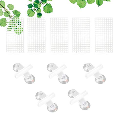 balacoo 10pcs Bottom Plate for Fish Tank Isolation Creative Segregation Boards Clips Safe Material for Betta Fish and Breeding Easy Installation to Prevent