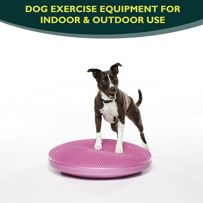 FitPaws® Dog Balance Disc, Exercise Equipment, Rehabilitation + Training, - color: Razzleberry, size: 22"