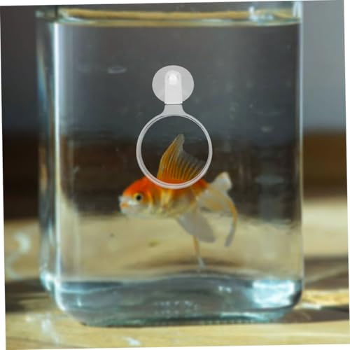 Generic Aquarium Glass with Cup Clear Acrylic Viewer for Small Animals Plants and Landscapes Portable and Easy to Operate Observation Tool for Home and Aquarium