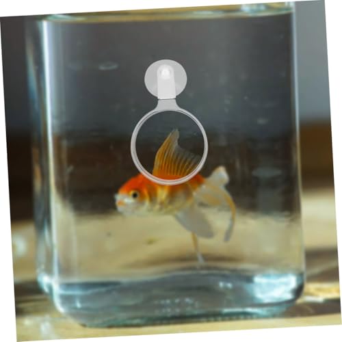 4pcs Acrylic Glass with Cup for Fish Tank Viewing High-Definition Observation Tool for Betta Fish -Landscapes Spiders and Animals User-Friendly Design for Seniors