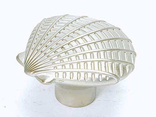 Nautical Sea Shell Calico Atlantic Scallop Seashell Knob Brushed Satin Nickel - Marine Sea Life Clam Shell New Kitchen Custom Knobs Cottage Nautical