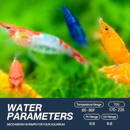 Mix Neocaridina Shrimps for Live Shrimp Freshwater Aquarium - Live Shrimp Arrival Guarantee (Pack of 40, Mixed) - color: Mix, size: 40
