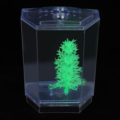 Mini Fish Breeding Box Acrylic Isolation Tank with Dirt Groove for Aquarium Fish Observation and Protection (Single)