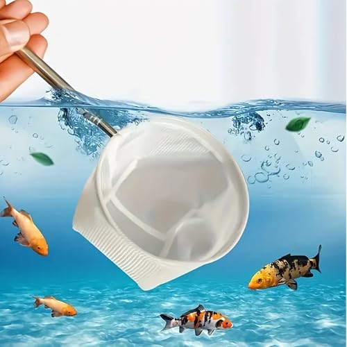 2-Piece Stainless Steel Fish Net Set – Fine Mesh, Extendable Handle, Round & Square Nets for Aquarium, Fish Tank, Small Fish Catching