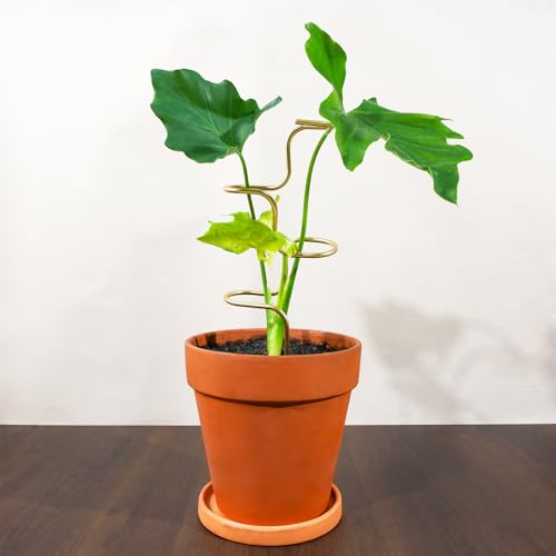 3PCS Indoor Plant Support – Durable Metal Garden Stakes for Monstera, Flowers & Herbs – 12.6 Inch Trellis for Indoor & Outdoor Plants, Easy-to-Use Support Structures - color: Gold