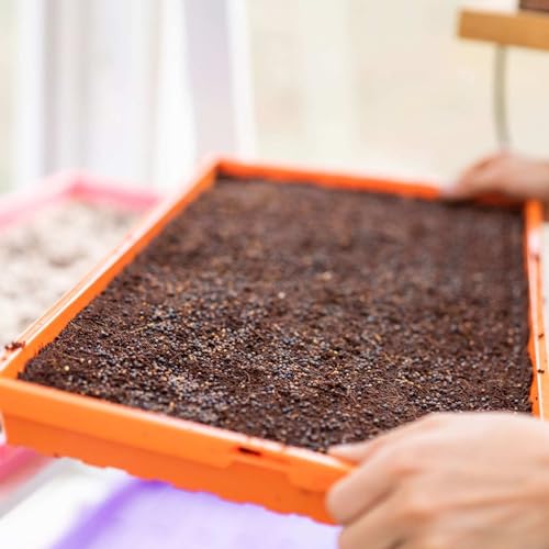 Bootstrap Farmer 1020 Extra Strength Trays, Orange, 10 Pack with Holes
