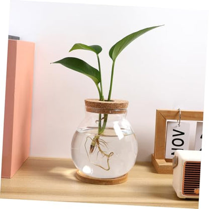 Toddmomy Transparent Glass Fish Tank with Lid for Betta Fish Compact Hydroponic Mini Aquarium for Desktop Office Decor with Mat View Design