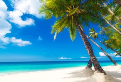 7x5ft Sea Beach Photography Background Seaside Palmtree Backdrop Vacation Trip Blue Sky Holiday Kid Baby Lovers Boy Girl Adult Artistic Portrait Photoshoot Studio Props Video Drape Wallpaper - size: 7x5ft