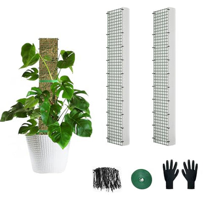 24" Metal Moss Pole, D Shape Sphagnum Moss Pole, Moss Poles for Climbing Plants, Monstera, Indoor Climbing Plants (2Pcs 24")