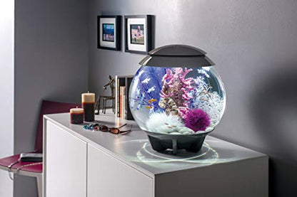 BiOrb 46080.0 Kelp Set Medium Purple Aquariums