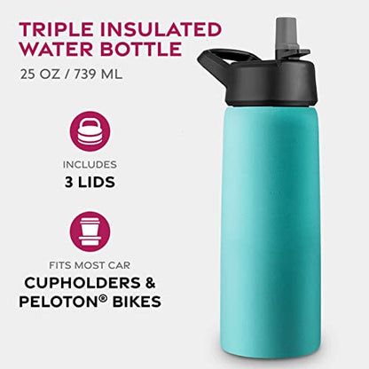 FineDine Insulated Water Bottle with Straw, 25 Oz, Cheery Turquoise - color: Cheery Turquoise, size: 25 Ounces