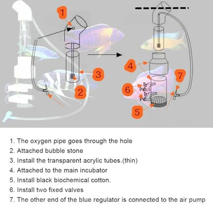 AQ50025 Acrylic Fish Hatchery Transparent Brooding Tube with Suction Cups Air Lifting Incubator for Cichlids Eggs