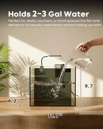3 Gallon Small Fish Tank Glass Aquarium Set with 2 Pack G1 Filter Media Replacement