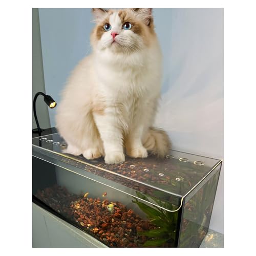 Fish Tank Lid 32x14 36x18in, Clear Acrylic Aquarium Cover, Cuttable Anti Jump Fish Tank Cover, Adapted to Various Sizes(10x8in/25.4x20.32cm) - size: 10x8in/25.4x20.32cm
