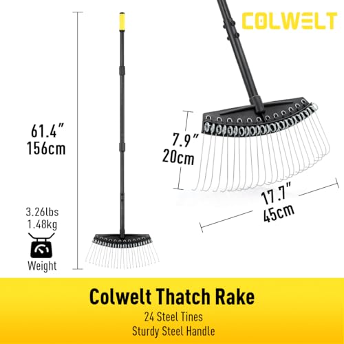 Thatch Rake, Dethatcher Rake with Thin, Curved Spring Steel Tines, Dethatching Thatching Rake for Lawns with 61’’ Steel Handle, Lawn Tine Rakes for Pine Needles, Dead Grass, Garden Debris