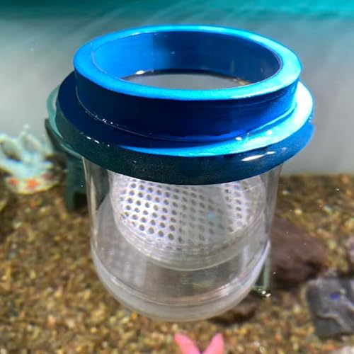 Floating Fish Breeder Box, Fry Hatching Incubator, Transparent Separator Chamber, Professional Aquatic Nursery, Heavy Duty Spawning Hardware - color: small