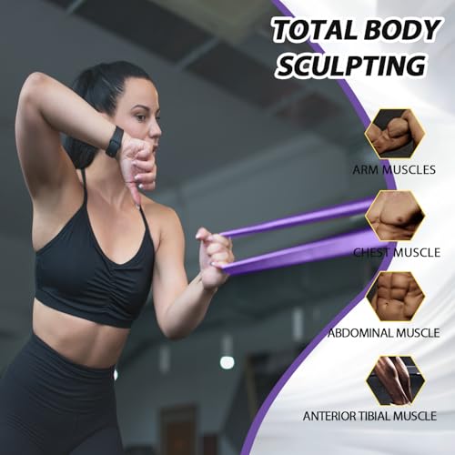 Resistance Bands for Pull Up Assist, Stretch Bands & Exercise Workout Set - color: 15-125LBS PURPLE+Mini Bands