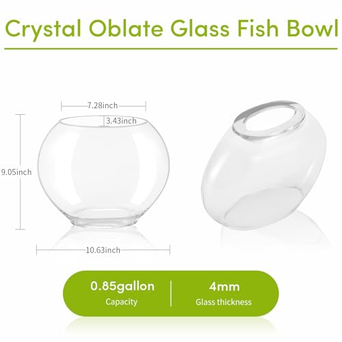 hygger Mini Glass Oblate Fish Bowl Kit, Small Fish Tank Comes with Blue Aquarium Decor Stones and Plastic Fan Branch Tree Ornament