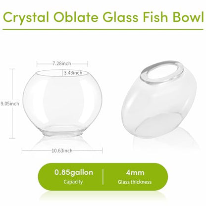 hygger Mini Glass Oblate Fish Bowl Kit, Small Fish Tank Comes with Blue Aquarium Decor Stones and Plastic Fan Branch Tree Ornament
