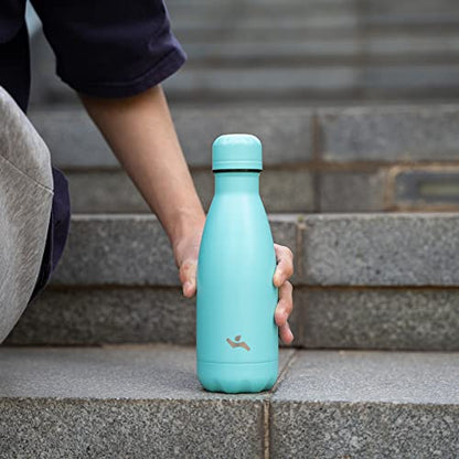 Konokyo 12 oz Insulated Stainless Steel Water Bottle, Gray - color: Gray, size: 12 Ounces