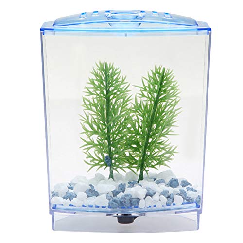 GLOGLOW Mini Aquarium Fish Tank, Acrylic Breeding Box for Betta and Guppies, Isolator for Small Fish with Air Circulation and Easy Waste Drainage (Single Grid)