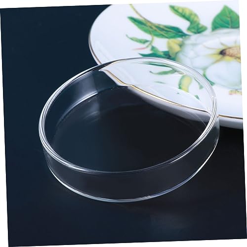 YARNOW 1pc Transparent Glass Shrimp Feed Dish Small Round Aquarium Bowl for Fish and Reptile Feeding Durable Enhance Aquatic Landscape