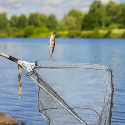 VILLCASE Foldable Detachable Triangular Fish Catch Basket Head, Stainless Steel Solid Mesh Replacement Net for Fishing, 50cm Diameter X 30cm Depth, Practical Fishing Catching Tool