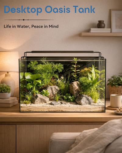 Glass Fish Tank Kit, 10 Gallon Betta Fish Tank Aquarium Starter Kit with Filter, Lights, Lid, for Betta, Goldfish, Small Fish or shrimg