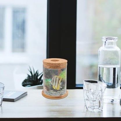 POPETPOP Glass Fish Bowl Small Aquarium Tank with Hydroponic Plant Jar and Mat 8x10cm for Desktop Home Decor