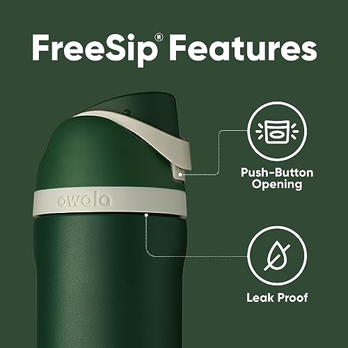Owala Harry Potter FreeSip Stainless Steel Water Bottle 24 oz Slytherin - color: Slytherin, size: 24 Ounces