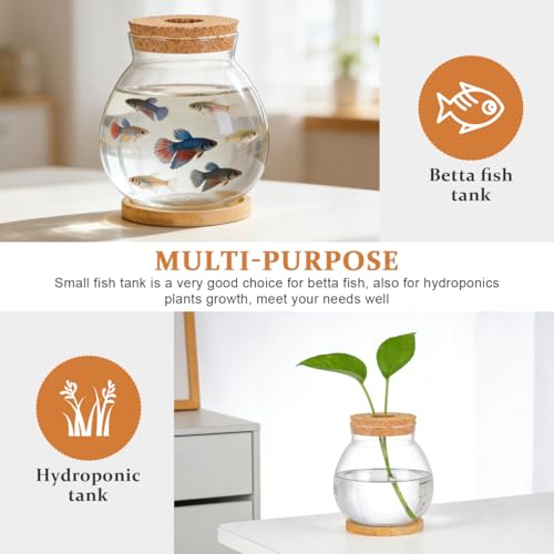 ibasenice Betta Fish Tank with Lid and Cushion Hydroponic Glass Aquarium for Desktop for Betta Fish and Aquatic Plants Terrarium with Base