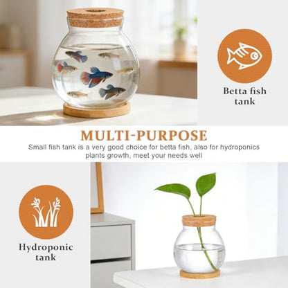 ibasenice Betta Fish Tank with Lid and Cushion Hydroponic Glass Aquarium for Desktop for Betta Fish and Aquatic Plants Terrarium with Base