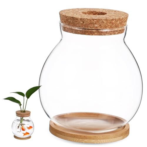 Desktop Hydroponic Fish Bowl Glass Aquarium with Mat for Betta and Aquatic Plants Stylish Terrarium for Decor