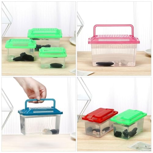 Plastic Turtle Fish Tank Pet Fish Tank Small Aquarium Plastic Goldfish Aquarium Habitat Acrylic Reptile cage reptisoil terrariums Handheld Feeding Box Household - size: 13x9cm