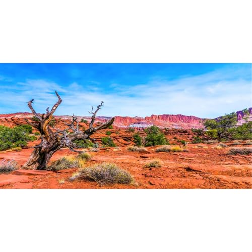 AWERT 72x16 inches Reptile Habitat Background Blue Sky Oasis Orange Desert Terrarium Background Durable Polyester Background - size: 72x16in/180x40cm