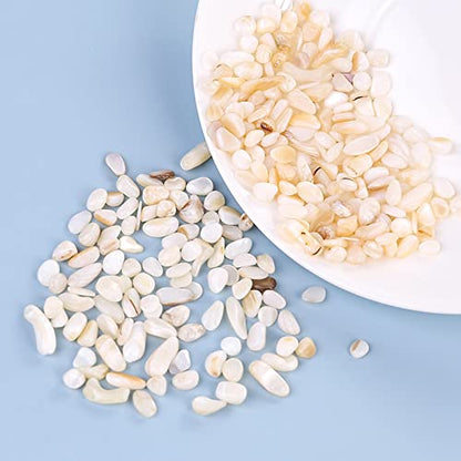 Crushed Shells for Crafts, Sea Shells for Kids DIY Art, Vase Fillers Table Scatter, Party Favor, Wedding Decoration, Succulents Plants Soil Cover, Art Crafts (Beige)