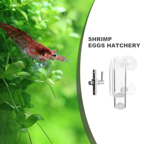 VOSAREA 1 Set Glass Shrimp Hatchery Box Suction Incubator for Brine Shrimp Eggs Fish Breeder Container with Isolation Design Easy to Clean for Aquatic Farming