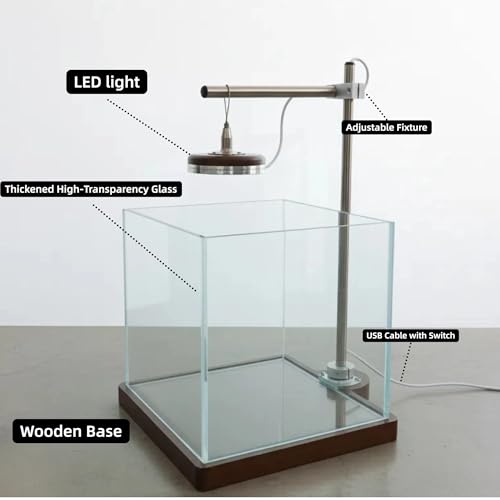 Mini Fish Tank with LED Light, 2 Gallon Desktop Aquarium for Betta Fish & Shrimp, Quiet Small Fish Tank for Home Office Decor