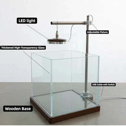Mini Fish Tank with LED Light, 2 Gallon Desktop Aquarium for Betta Fish & Shrimp, Quiet Small Fish Tank for Home Office Decor