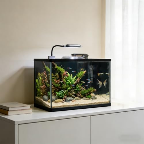 Glass Fish Tank, 2.8 Gallon Betta Fish Tank Aquarium Starter Kit with Filter and Light, Small Desktop Aquarium Kit for Betta, Goldfish, Small Fish or shrimg