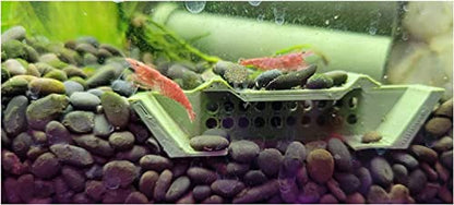 Shrimp Champ: Ultimate Shelter, Breeding Area and Hideout for Cherry Shrimp, African Dwarf Frogs and Small Aquatic Creatures - Natural Look, Safe, Eco-Friendly (2 Pack)