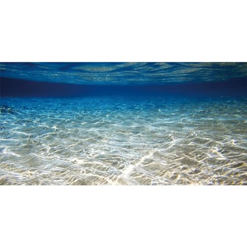AWERT 24x12 inches Ocean Floor Aquarium Background Underwater Fish Tank Background Undersea Theme Aquarium Background